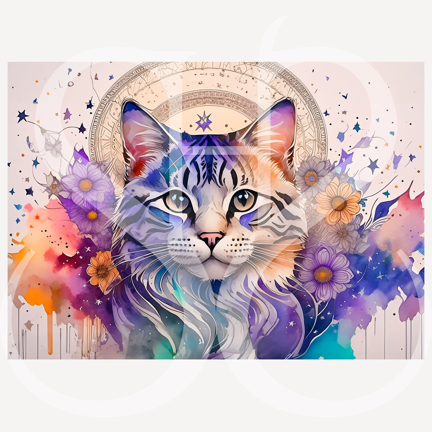 American Shorthair fine art print by Sue Schreiber — classic cat portrait wall art