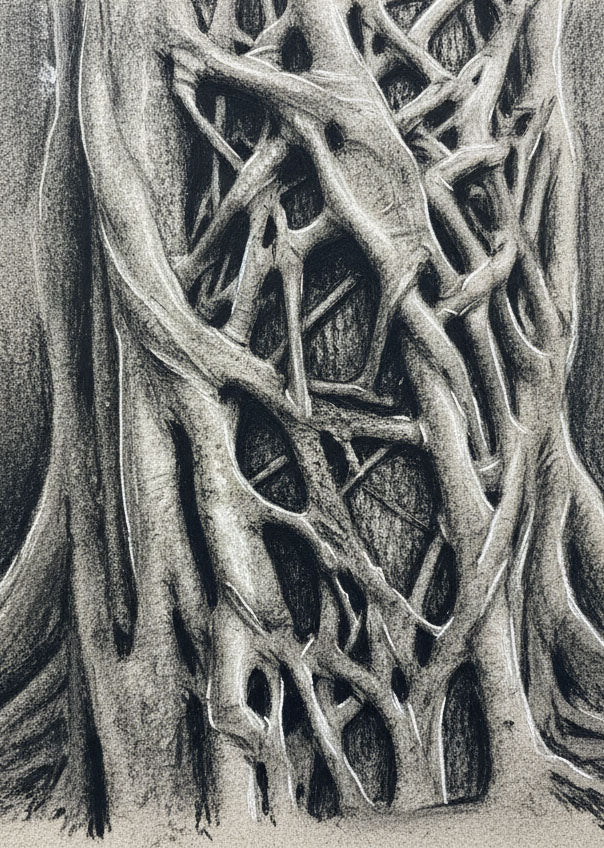 Natural Abstraction: Dramatic Tree Trunks in Charcoal