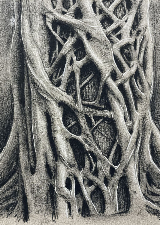 Natural Abstraction: Dramatic Tree Trunks in Charcoal