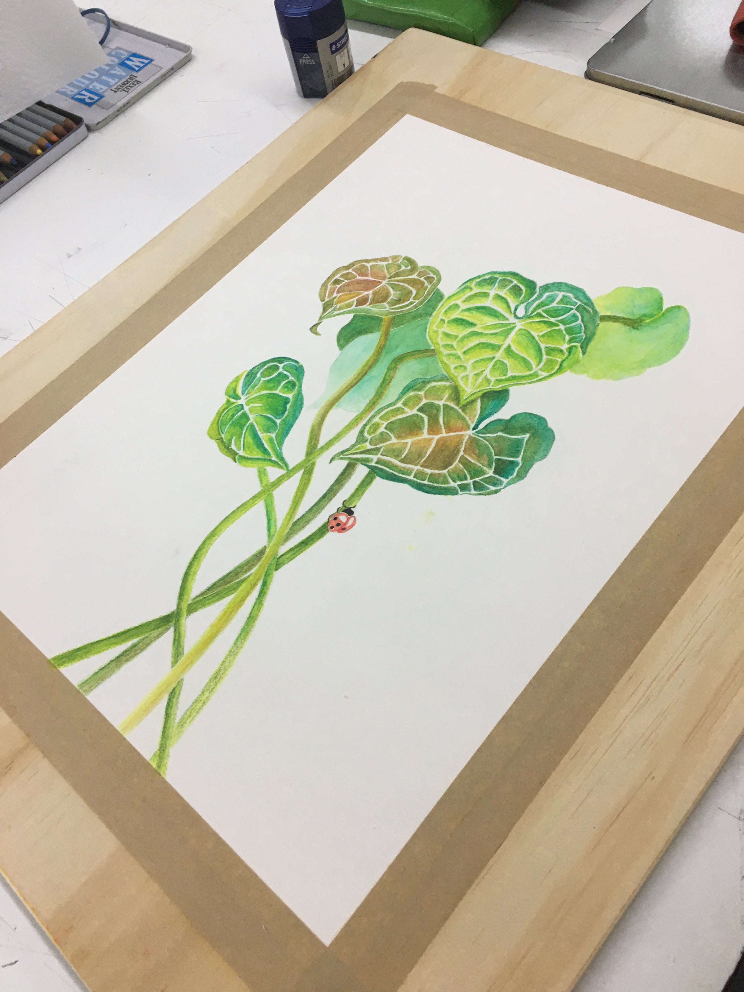 Art Classes in Cairns Sue Creates Art